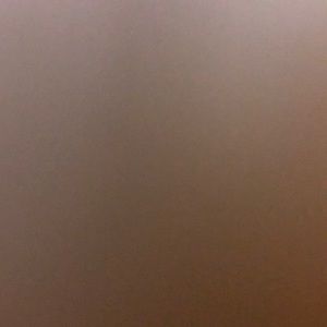 Meet your Posher, Liz